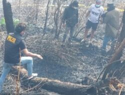 Seorang ibu muda di Kabupaten Humbang Hasundutan  Sumatra Utara (Sumut) tewas terpanggang, akibat kebakaran hutan dan lahan