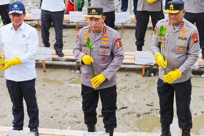 
 Tanam Mangrove di Kalbar, Kapolri: Jaga Lingkungan untuk Masa Depan Anak-Cucu Kita