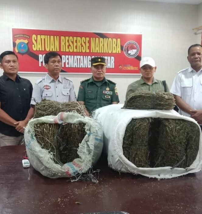 
 Penemuan 47 Kg Ganja di Kampus Universitas Simalungun Gegerkan Masyarakat Siantar, Polisi Buru Pemiliknya