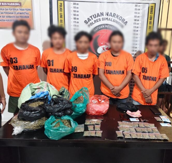 
 Polres Simalungun Bongkar Jaringan Narkoba 2,5 Kg Ganja di Kawasan Wisata Danau Toba