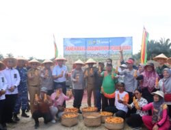 Kapolda Riau Turut Hadir Bersama Bupati dan Kapolres Pelalawan Melakukan Panen Jagung Pipil