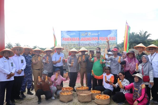 
 Kapolda Riau Turut Hadir Bersama Bupati dan Kapolres Pelalawan Melakukan Panen Jagung Pipil