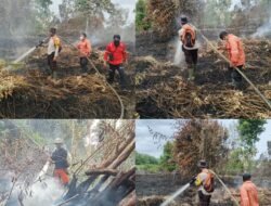 Laporan Kegiatan Upaya Pemadaman Titik Api di Lokasi Fire Spot Kabupaten Pelalawan Oleh  Patroli Udara Satgas Udara BNPB