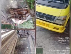 Hutan Itu Dijaga Kelestariannya,Di Duga Maraknya Ilegal Logging Di Kabupaten Pelalawan APH Di Tutup Mata