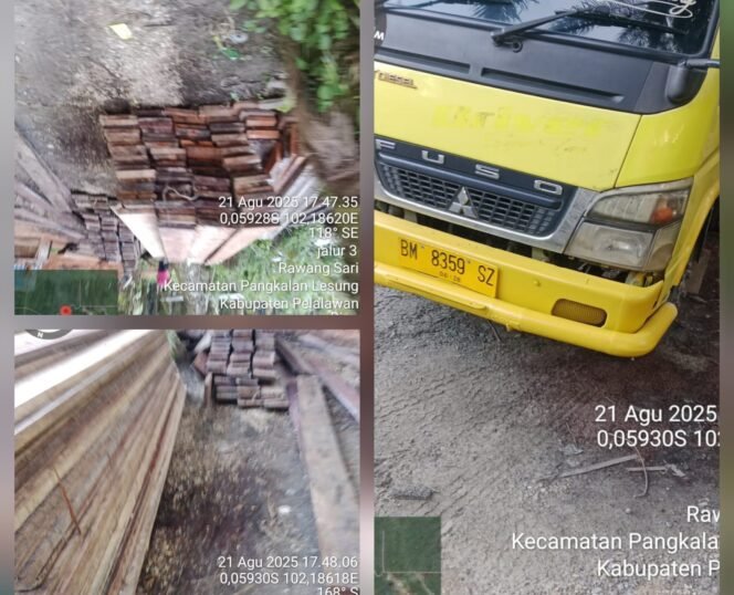 
 Hutan Itu Dijaga Kelestariannya,Di Duga Maraknya Ilegal Logging Di Kabupaten Pelalawan APH Di Tutup Mata
