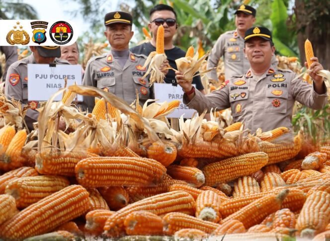 
 Kapolres Nias Hadiri Panen Jagung Serentak Quartal III Via Zoom Bersama Kapolri