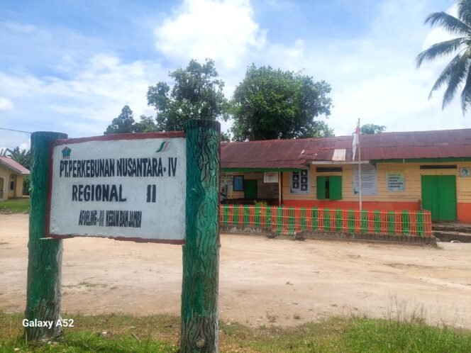 
 AFD III Bah Jambi Diduga Langgar Aturan, Buah Mentah Ditumpuk dan Ternak Bebas di Halaman Kantor