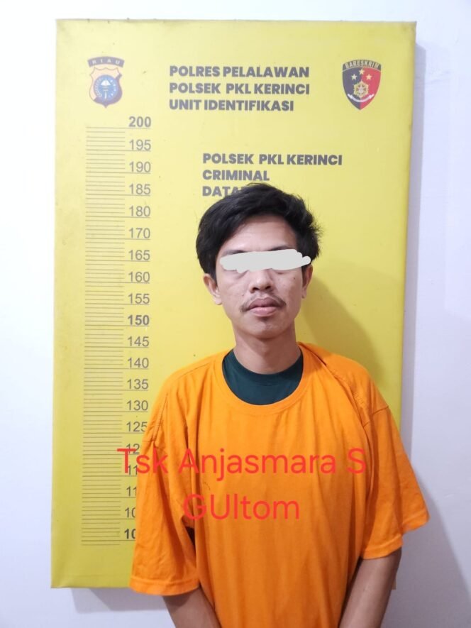 
 Polsek Pangkalan Kerinci Berhasil Amankan Pengedar Narkoba