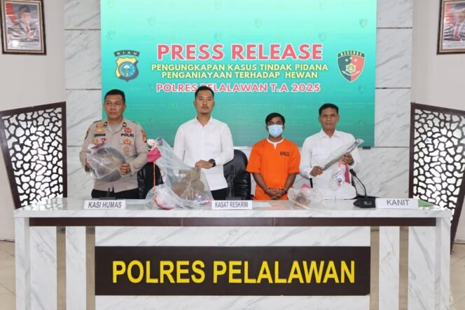 
 Sat Reskrim Polres Pelalawan Berhasil Mengamankan Penjagal Anjing di Pelalawan