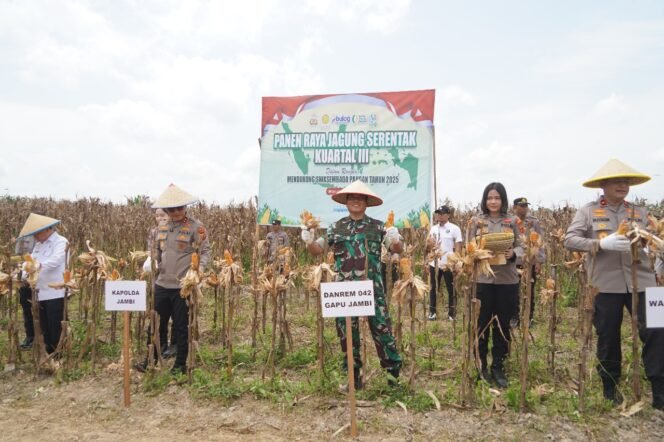 
 Danrem 042/Gapu Panen Raya Jagung Serentak di Tanjab Timur, Dukung Swasembada Pangan Nasional