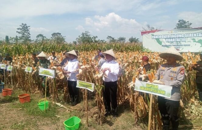 
 Kapolda Sulsel Hadiri Panen Raya Jagung Serentak Kuartal III di Kabupaten Gowa