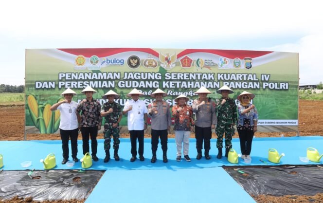 
 Polda Sumut Gelar Penanaman Jagung Serentak Kuartal IV Dukung Program Ketahanan Pangan Nasional