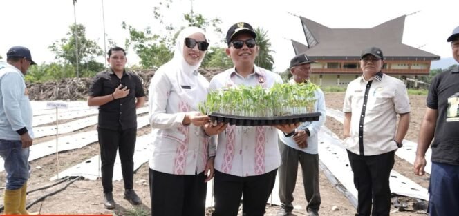 
 Dorong  ketahanan pangan dan stabilitas harga pangan