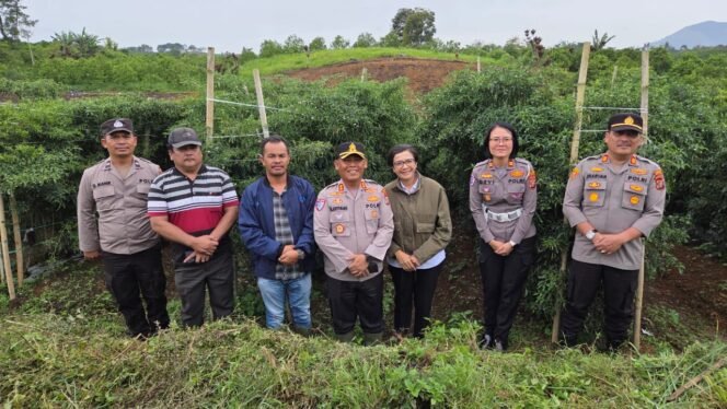 
 Kapolres Simalungun dan Ketua Bhayangkari Tinjau Lahan Pertanian Warga di Rakut Besi