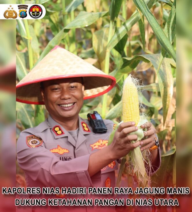 
 Kapolres Nias Hadiri Panen Raya Jagung Manis, Dukung Ketahanan Pangan Di Nias Utara