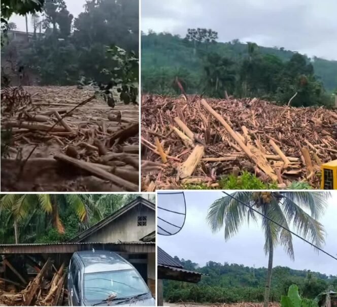 
 Ketua DPW JPKP Sumut Mendesak Ketum JPKP Sampaikan Langsung Kepada Presiden Prabowo: Bencana di Tapteng, Sibolga, dan Humbahas Harus Ditetapkan Menjadi Bencana Nasional.