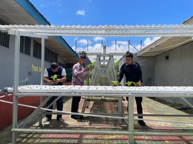 
 Perluas Lahan Hidroponik dan Organik, Rutan Ambon Tegaskan Komitmen Dukung Ketahanan Pangan Nasional