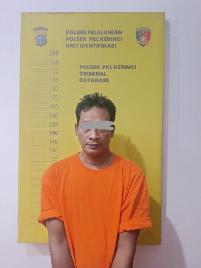 
 Pelaku mengaku anggota  BNN dan Peras Rp 200 Juta, Pria Berpistol di Riau Ditangkap