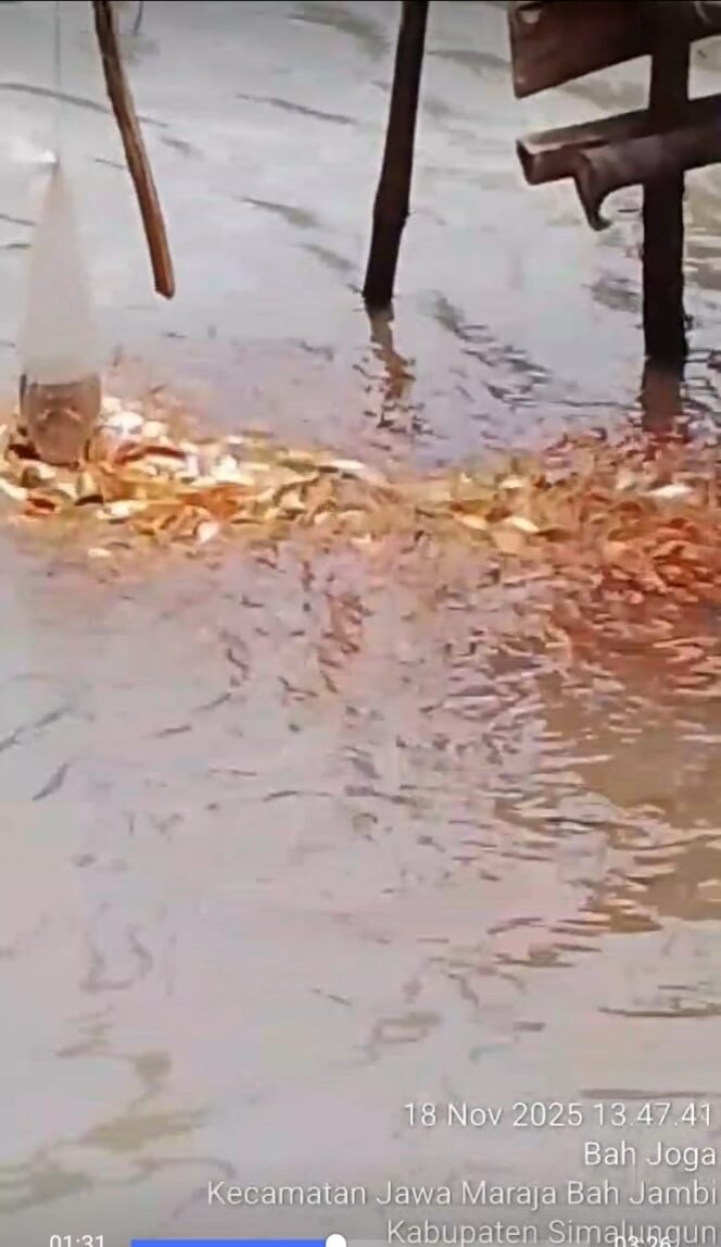 
 Langkah Berkelanjutan: BumNag “BERSAMA” nagori Bahjoga Perkuat Astacita Lewat Program Budidaya Ikan