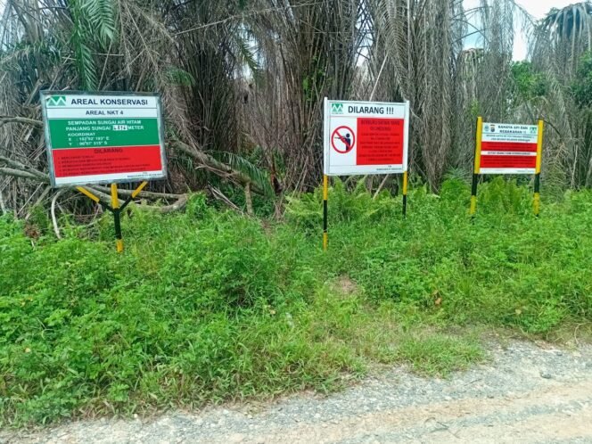 
 Lahan Konservasi PT Musim Mas Disinyalir Telah  Alih Fungsi Jadi Tanaman Sawit