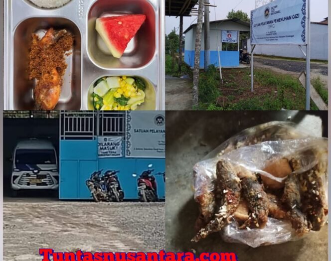 
 Makanan Basi Masih Disajikan di MBG Cikoko, Dinas Pendidikan dan Kesehatan Dituding Tutup Mata