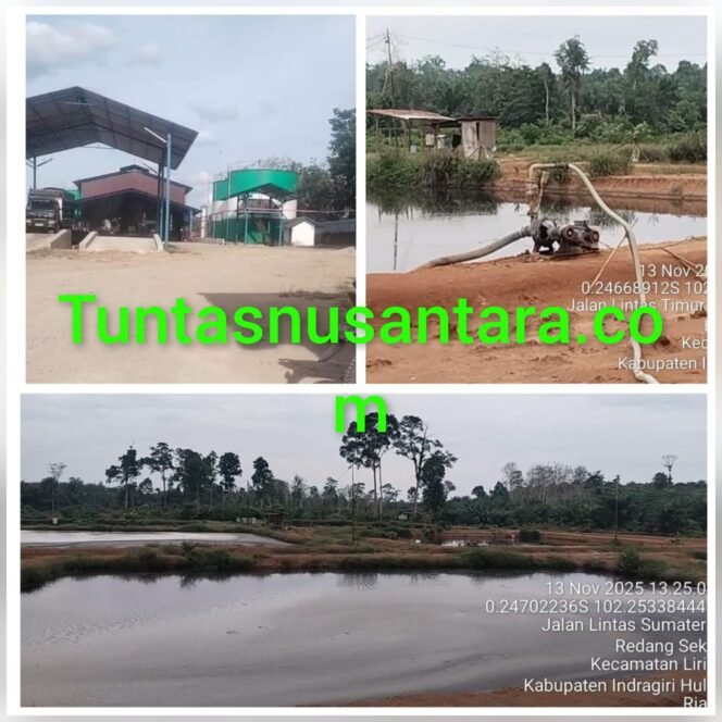 
 Limbah PKS PT Multiguna Agro Sejahtera di Inhu, Mulai Meresahkan Warga Sekitar