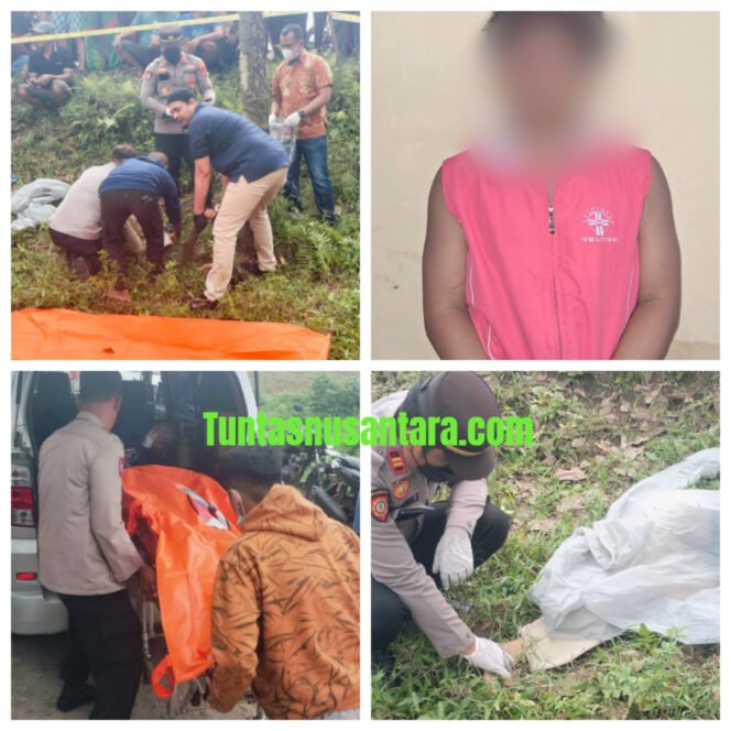 
 Breaking news : Motif Uang Aborsi, Siswi SMP di Bunuh Bruywl di Perkebunan Karet, Pelaku Teman Sebaya di tangkap Kurang dari 5 Jam.