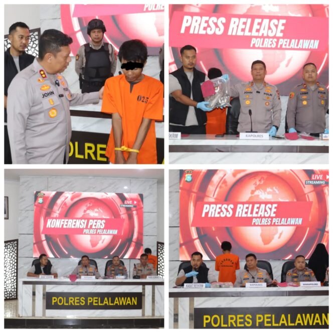 
 Sat Reskrim Polres Pelalawan Berhasil Menangkap Pelaku Penikaman di  Pelalawan, ditangkap di Lampung Barat