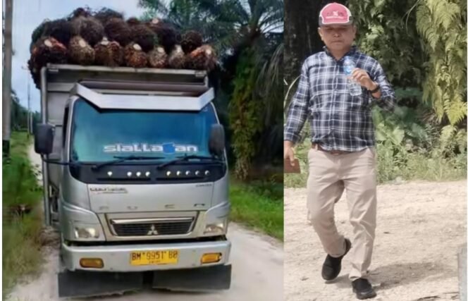 
 Kebun Negara Dikelola Sah KSO PT APN ke PT TRM, Tetap Jadi Sasaran Pencurian Gerombolan Hendrik Marbun Dkk