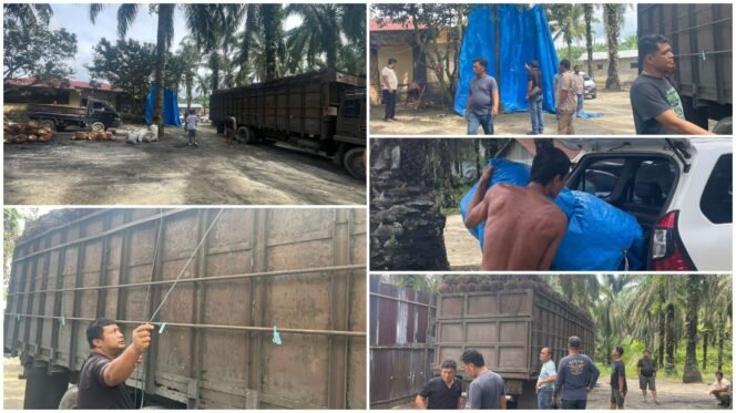 
 Gerak Cepat Polsek Kampung Rakyat Tanggapi Laporan Dugaan Jual Beli Sawit Ilegal, Gudang di Sri Pinang Digerebek!