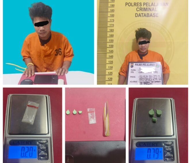 
 Gerak Cepat Satres Narkoba Polres Pelalawan Berhasil Ringkus Tersangka Pelaku Kasus Narkotika