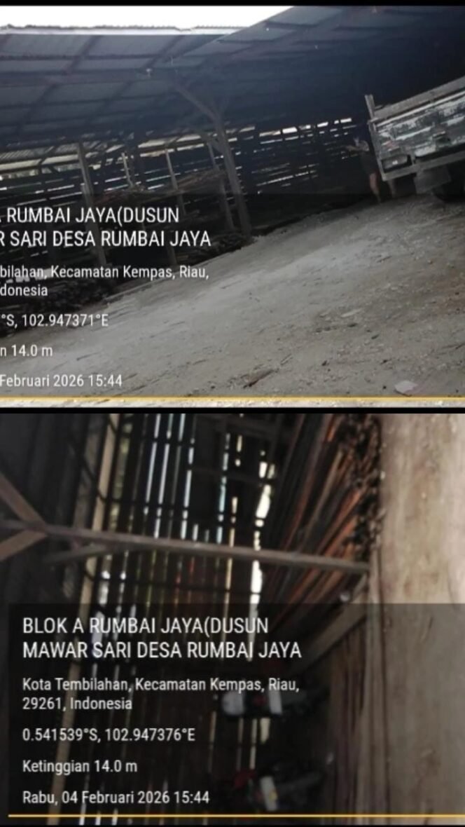 
 Diduga Panglong/Sawmill Kayu Ilegal Kebal Hukum, Aktivitas “Illegal Loading” Bebas Beroperasi di Desa Rumbai Jaya