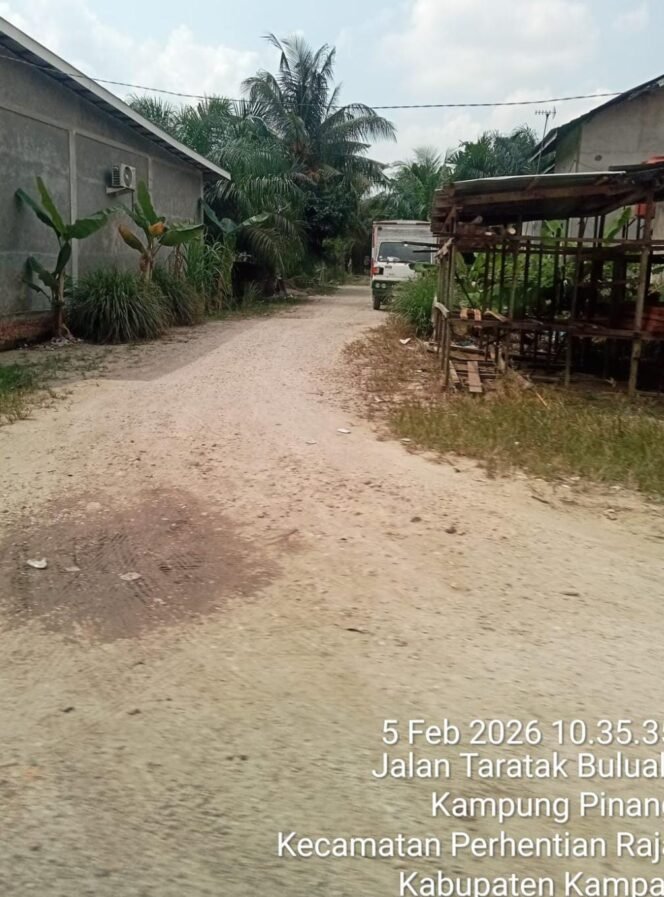 
 Sejumlah Sawmill Beroperasi diduga Hasil Kayu Kawasan Hutan,Kembali Terekam Kamera   GPS.Diduga Kapolda Riau bengkam