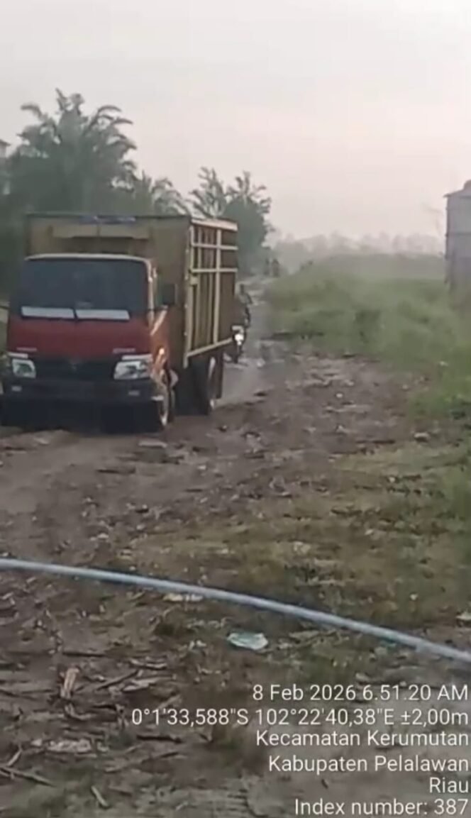 
 Green Policing vs Illegal Logging: Suaka Margasatwa Kerumutan Kembali Dijarah, Negara Didesak Bertindak Tegas