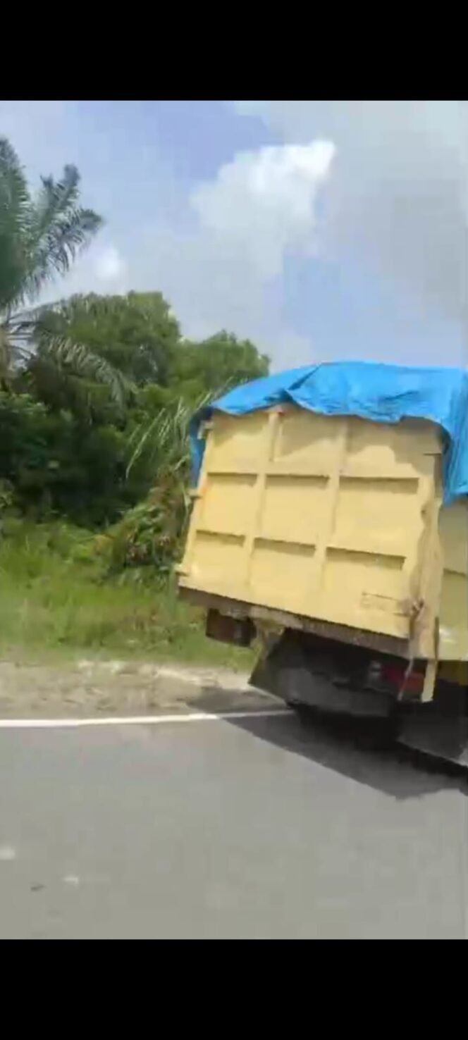 
 Penindakan Ilegal Logging di Kerumutan: Dua Truk Diamankan, Diduga Terkait Jaringan Pekanbaru