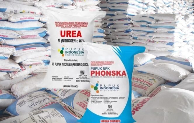 
 Klarifikasi Kelangkaan Pupuk di Kecamatan Bawolato Benar, Ini Penjelasan PPTS dan Distributor.