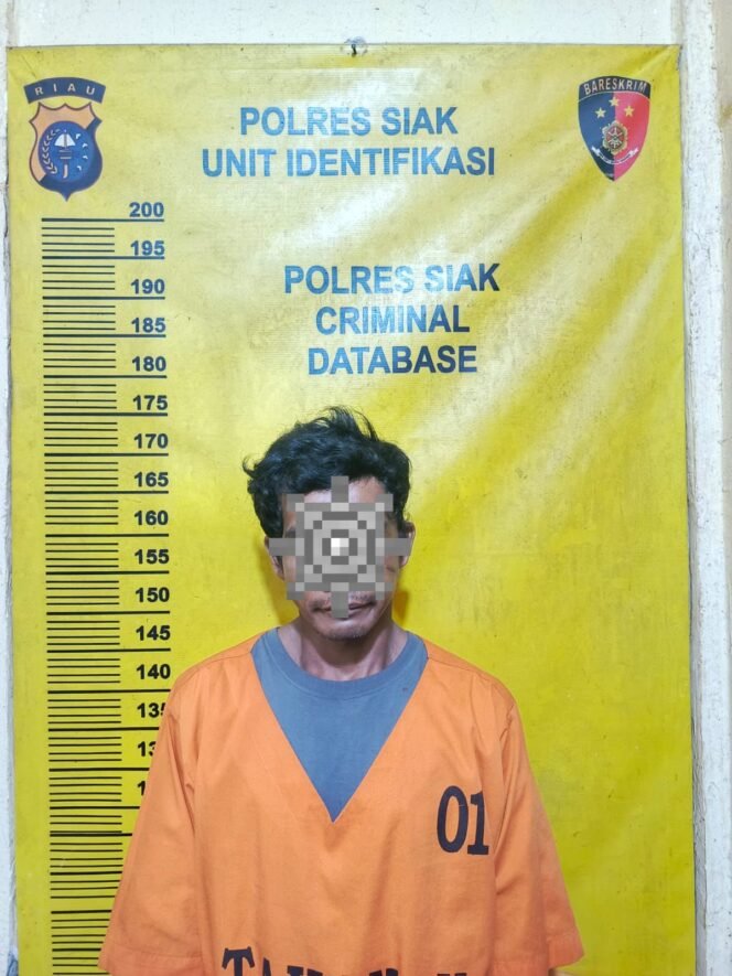 
 Polsek Koto Gasib Tangani Dugaan Tindak Pidana Pencurian Buah Kelapa Sawit di Areal Perkebunan PT.DSI