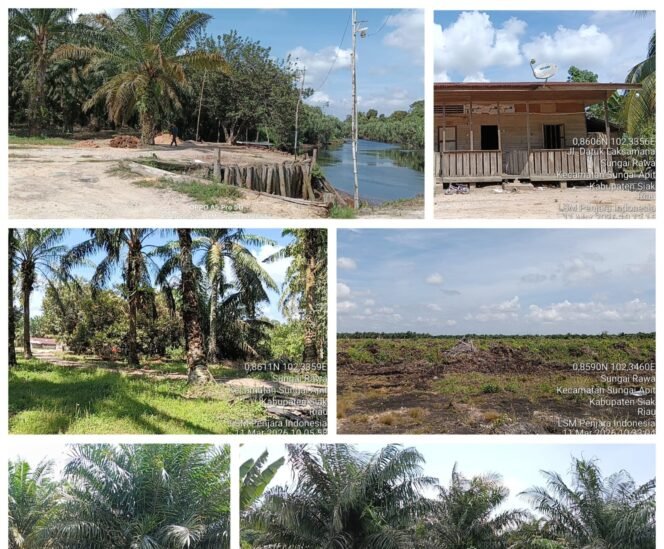 
 DPD LSM PENJARA Indonesia Mendesak Penegakan Hukum atas Dugaan Pelanggaran Berat di Kebun Awi