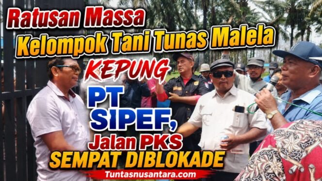 
 Ratusan Massa Kelompok Tani Tunas Malela Kepung PT Sipef, Jalan PKS Sempat Diblokade
