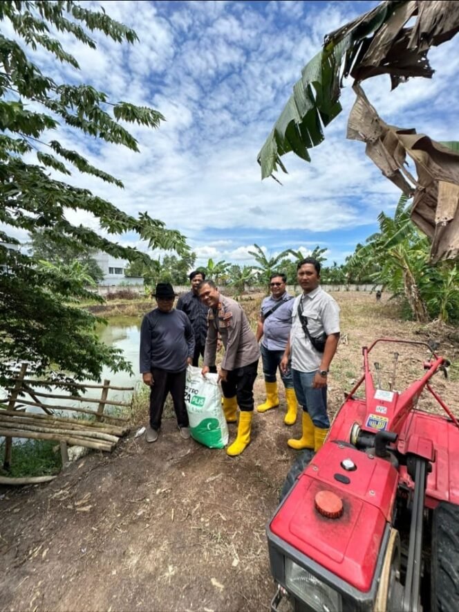 
 Polsek KSKP Dumai Salurkan Bantuan Pupuk ke Petani Jagung, Wujud Dukungan Ketahanan Pangan Nasional