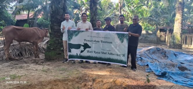 
 Desa Batra Makmur Terima Hewan Qurban Dua Ekor Sapi Program CSR Perusahaan PT Sinergi Integritas Agroindustri