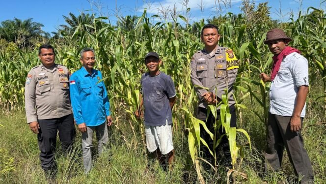 
 Bhabinkamtibmas Kampung Pangkal Pisang Aipda Mahadir Monitoring Ketahanan Pangan