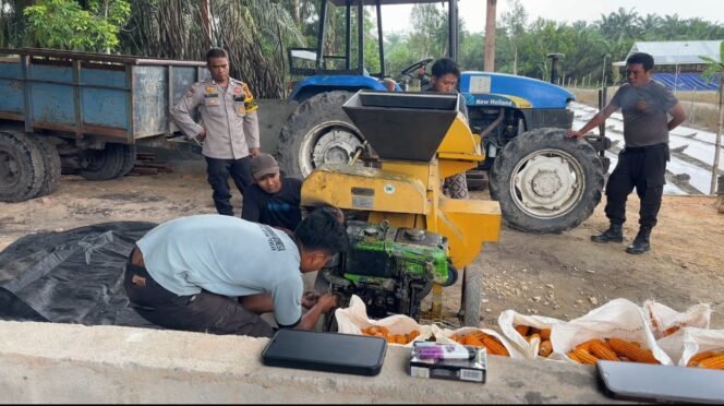 
 Polsek Koto Gasib Laksanakan kegiatan pemipilan jagung