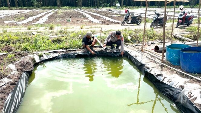 
 Hadapi Kemarau Polsek Koto Gasib bersama Poktan Makar Sari siapkan Embung untuk pengairan Ketahanan Pangan