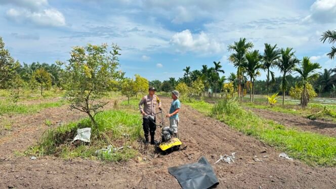 
 Dukung Ketahanan Pangan Personil Polsek Koto Gasib Menyiapkan  Lahan Jagung di Poktan Mekar Sari