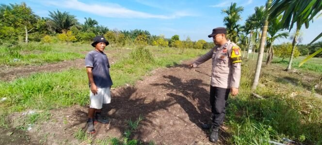 
 Dukung Ketahanan Pangan Personil Polsek Koto Gasib Cek Kesiapan  Lahan Jagung di Poktan Mekar Sari