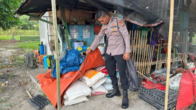 
 Polsek Koto Gasib Optimalkan Ketahanan Pangan dengan menyediakan Stok pupuk kimia dan organik